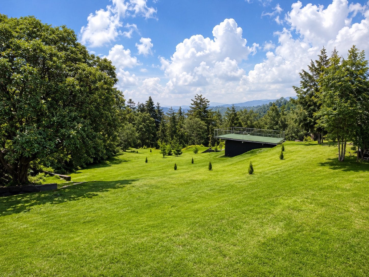 Bosque con terraza al fondo